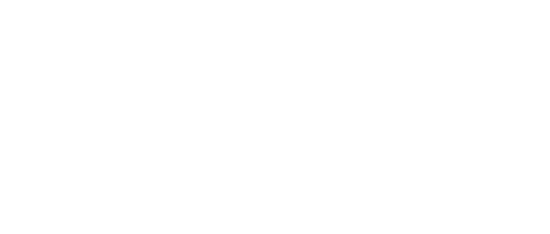 Effizienz Partner Logo Weiss